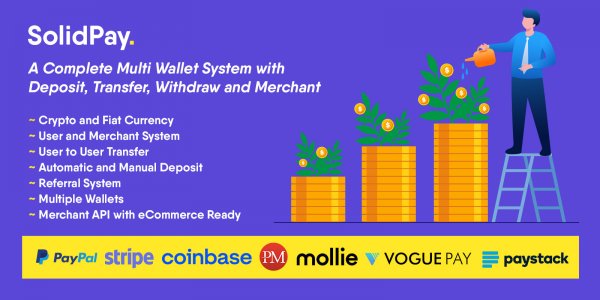 Solidpay - Digital Payment System with Wallets Script