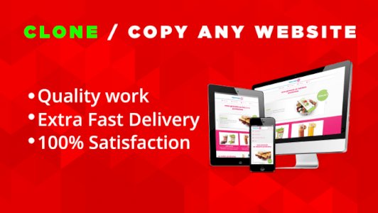 I will clone, copy, duplicate any website within 12 hours